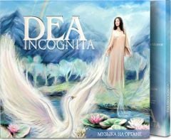 Разработка CD диска органной музыки «Dea Incognita»