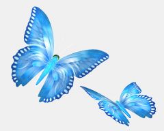Полет 3D бабочки