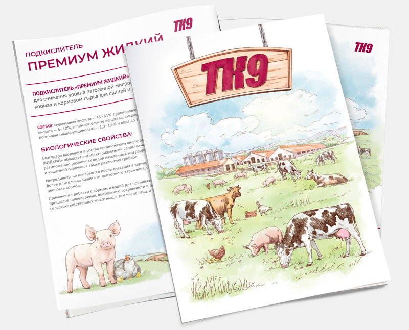 Брошюра сельхозпроизводителя «ТК9» с иллюстрациями в стиле пасторали. – Новости студии дизайна «Aedus Design»