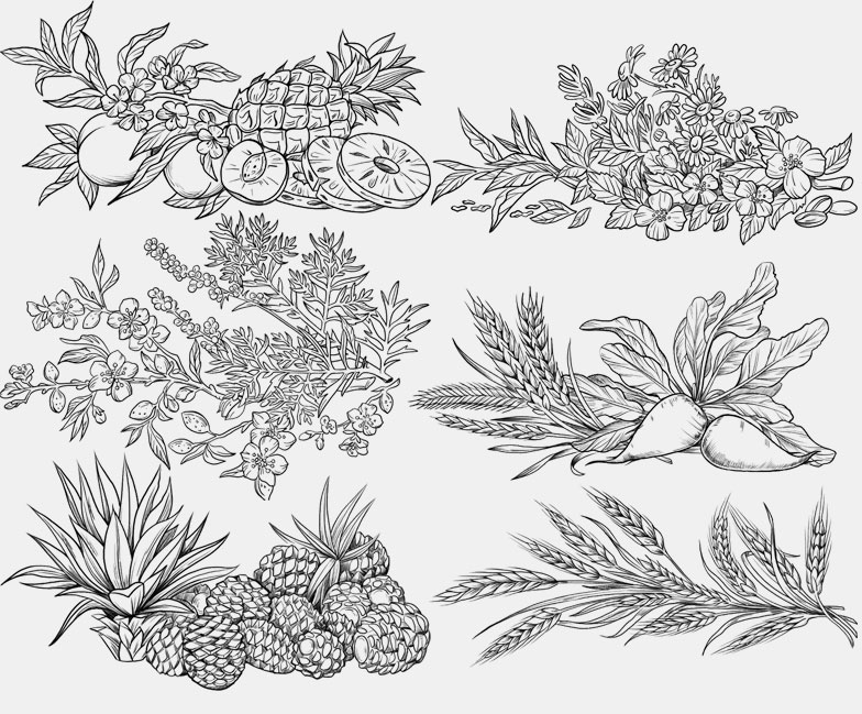 Разные изображения, использованные в оформлении меню